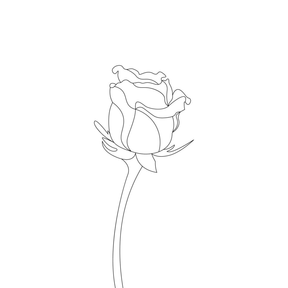 Rose Flower Coloring Page And Book Hand Drawn Line Art Illustration Beautiful Flower Black And White Drawing Vector