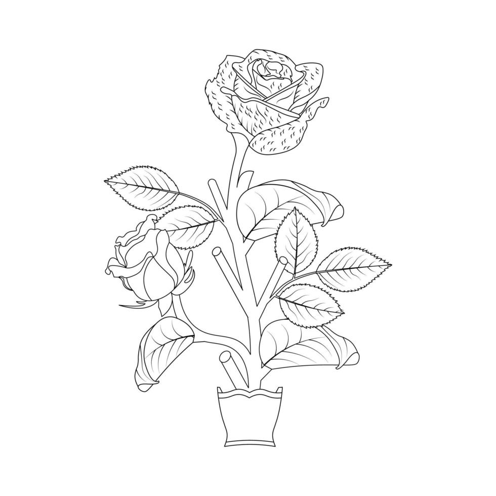 Rose Flower Coloring Page And Book Hand Drawn Line Art Illustration vector
