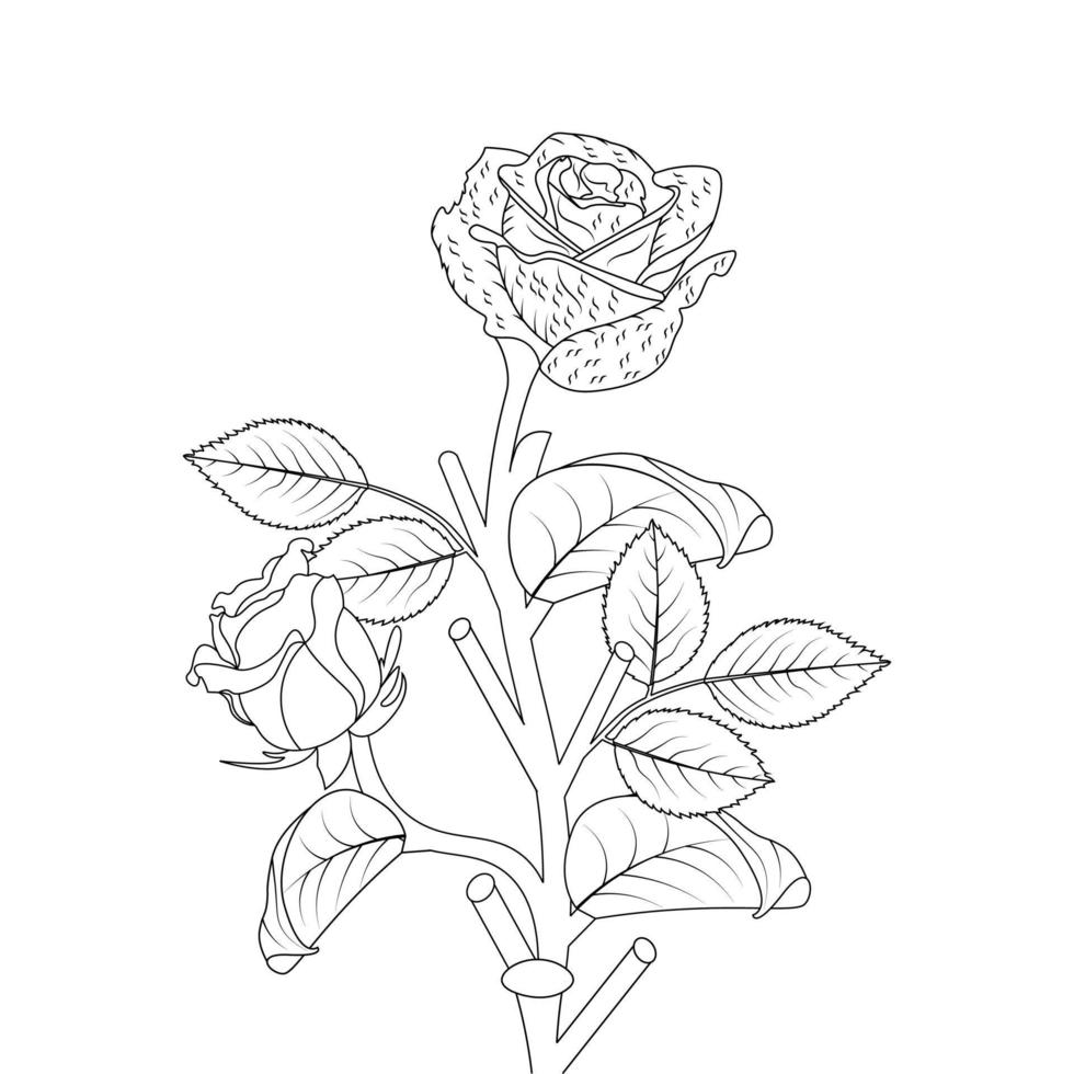 Rose Flower Coloring Page And Book Hand Drawn Line Art Illustration vector