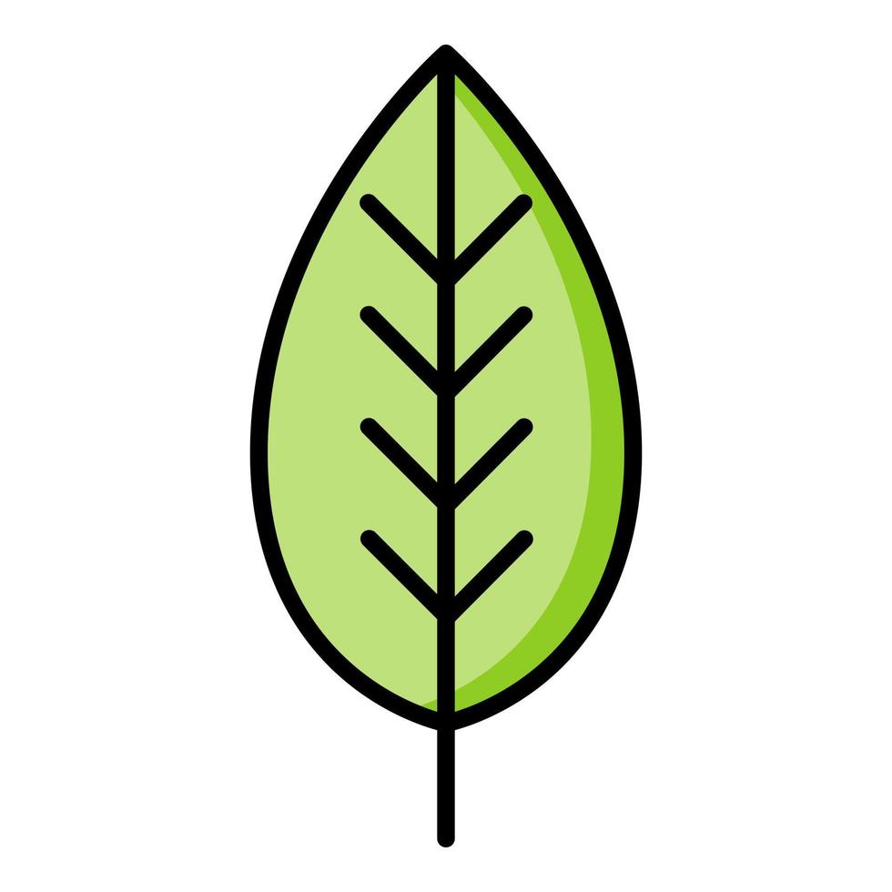 Green leaf icon. vector