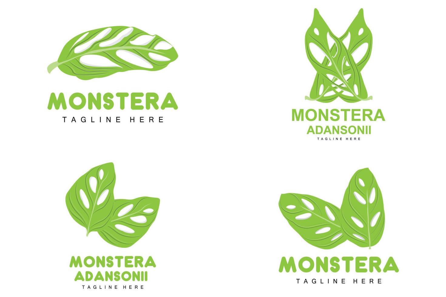 logotipo de hoja de monstera adansonii, vector de planta verde, vector de árbol, ilustración de hoja rara