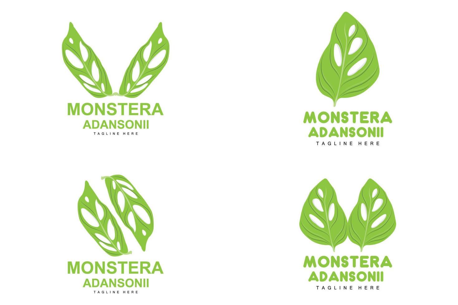 logotipo de hoja de monstera adansonii, vector de planta verde, vector de árbol, ilustración de hoja rara