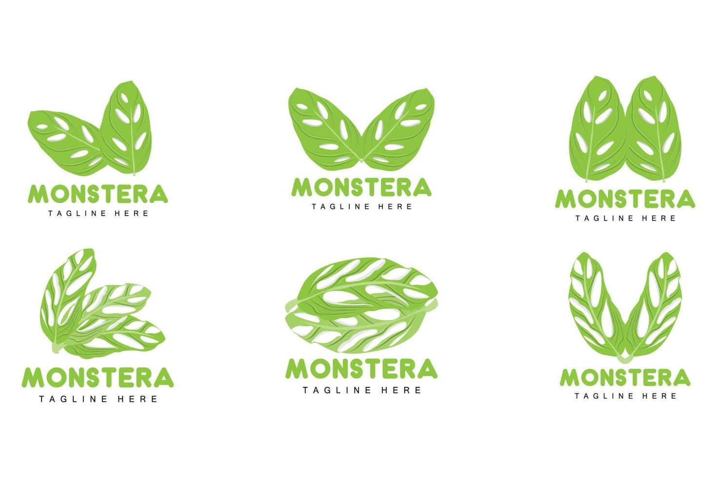 logotipo de hoja de monstera adansonii, vector de planta verde, vector de árbol, ilustración de hoja rara