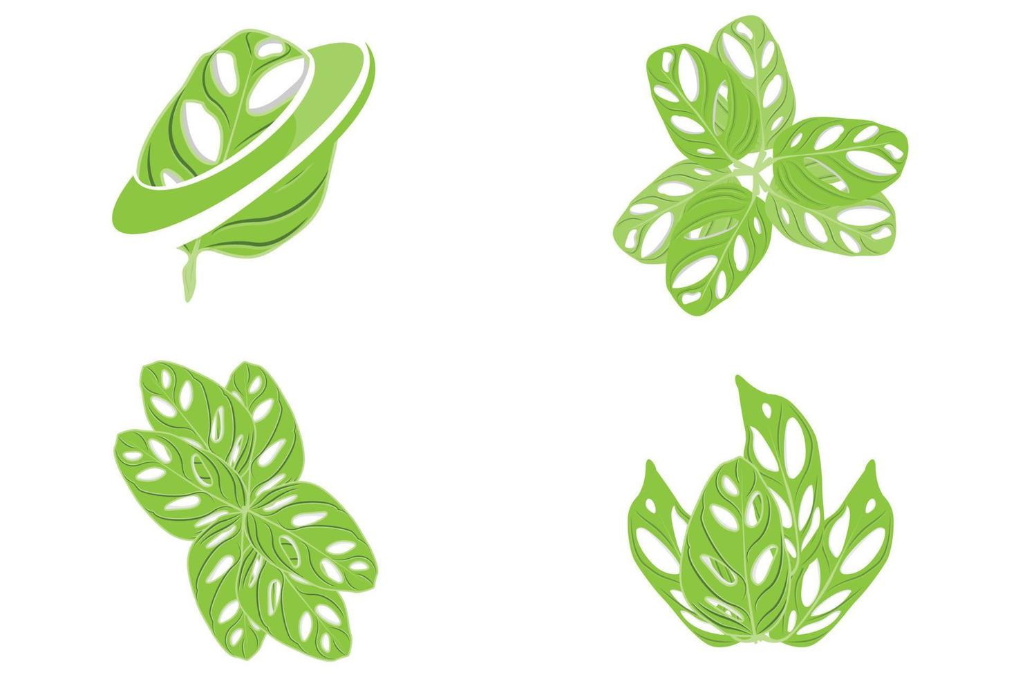 logotipo de hoja de monstera adansonii, vector de planta verde, vector de árbol, ilustración de hoja rara