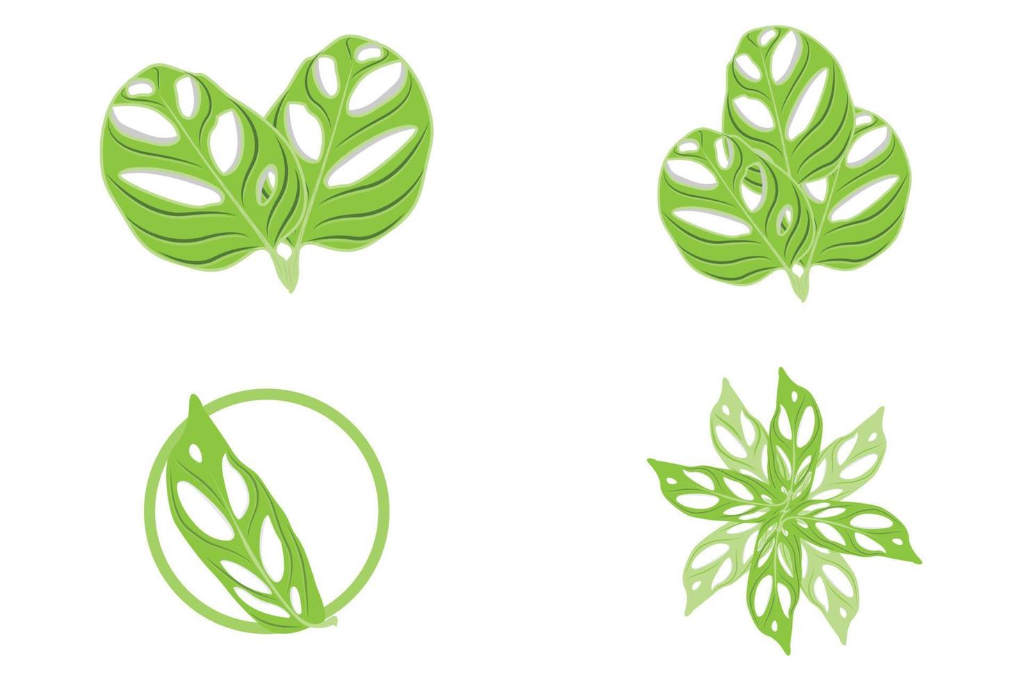 logotipo de hoja de monstera adansonii, vector de planta verde, vector de árbol, ilustración de hoja rara