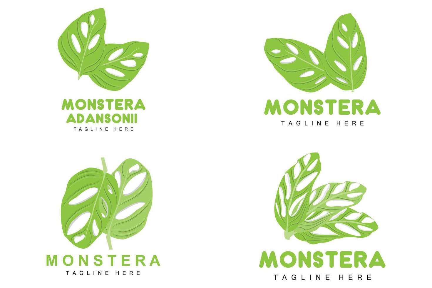 logotipo de hoja de monstera adansonii, vector de planta verde, vector de árbol, ilustración de hoja rara