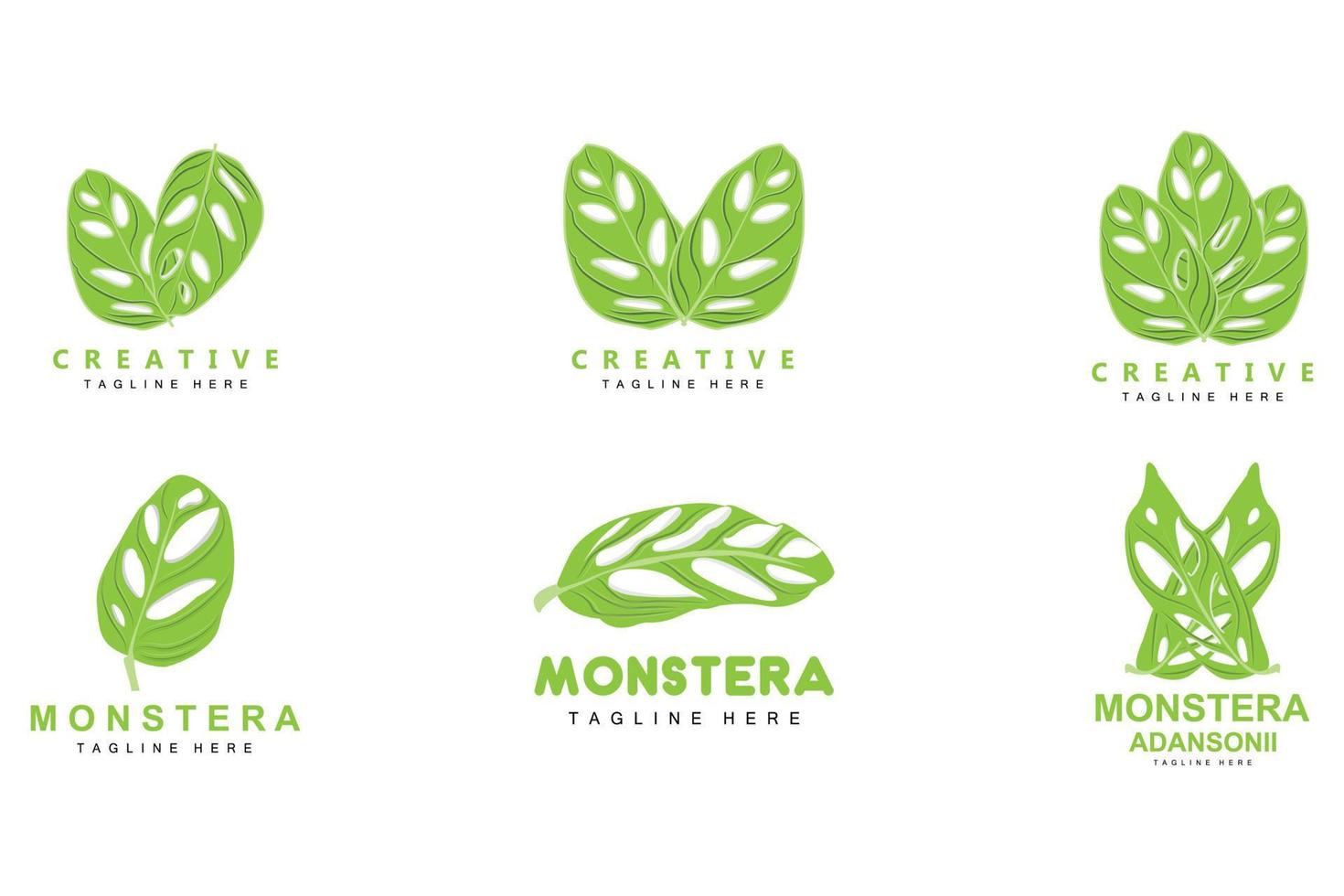 logotipo de hoja de monstera adansonii, vector de planta verde, vector de árbol, ilustración de hoja rara