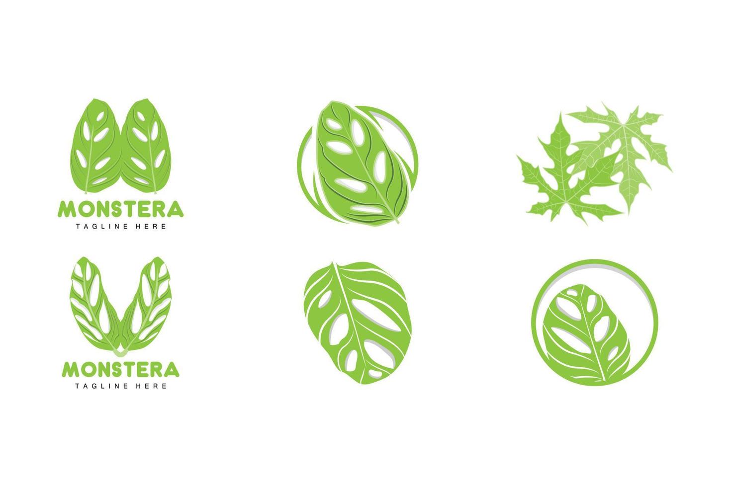 logotipo de hoja de monstera adansonii, vector de planta verde, vector de árbol, ilustración de hoja rara