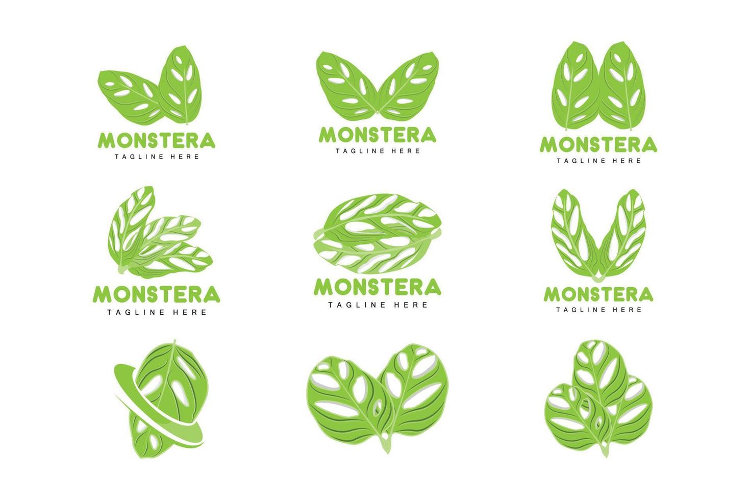 logotipo de hoja de monstera adansonii, vector de planta verde, vector de árbol, ilustración de hoja rara