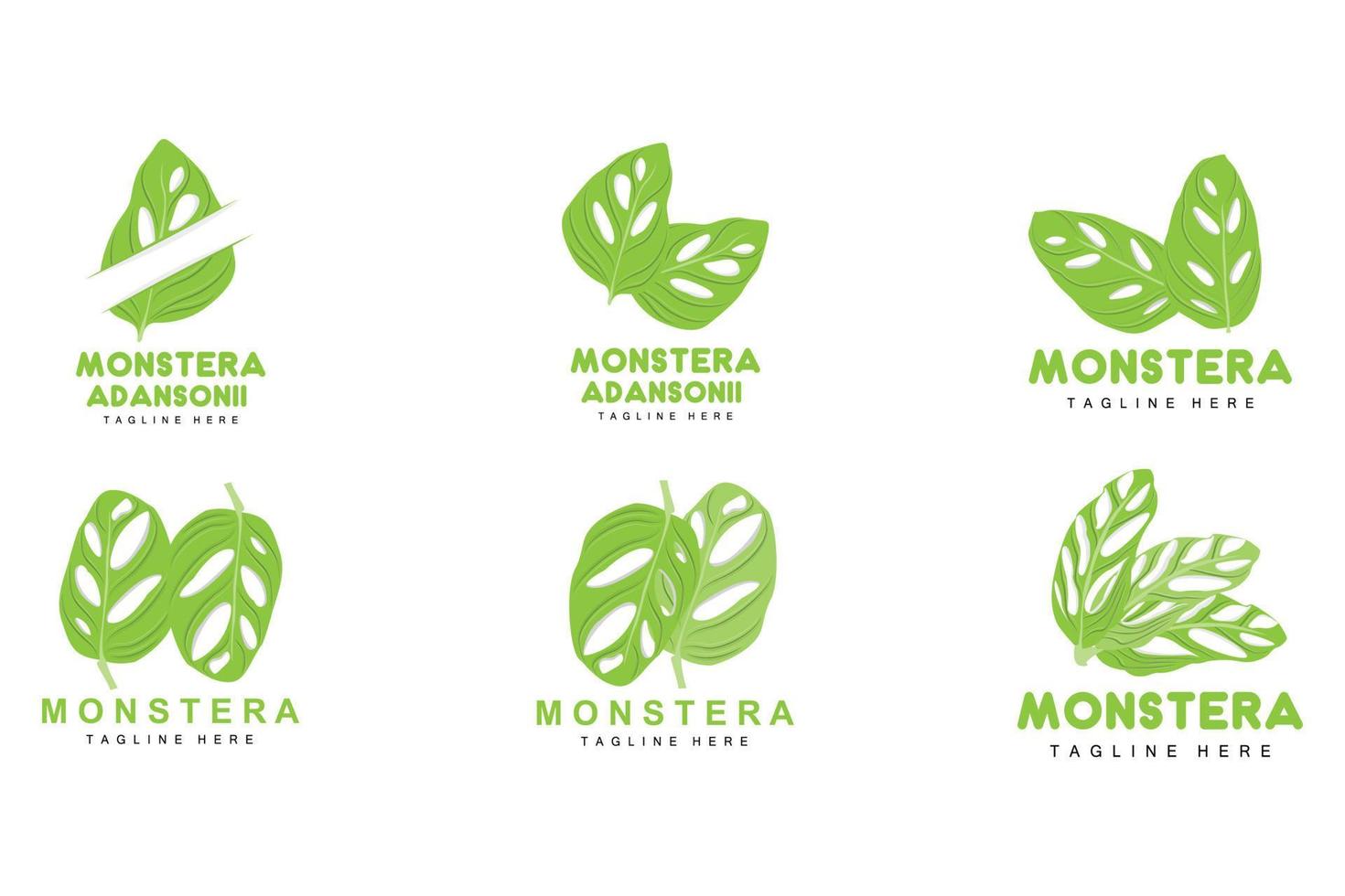 Monstera adansonii Leaf Logo, Green Plant Vector, Tree Vector, Rare Leaf Illustration vector