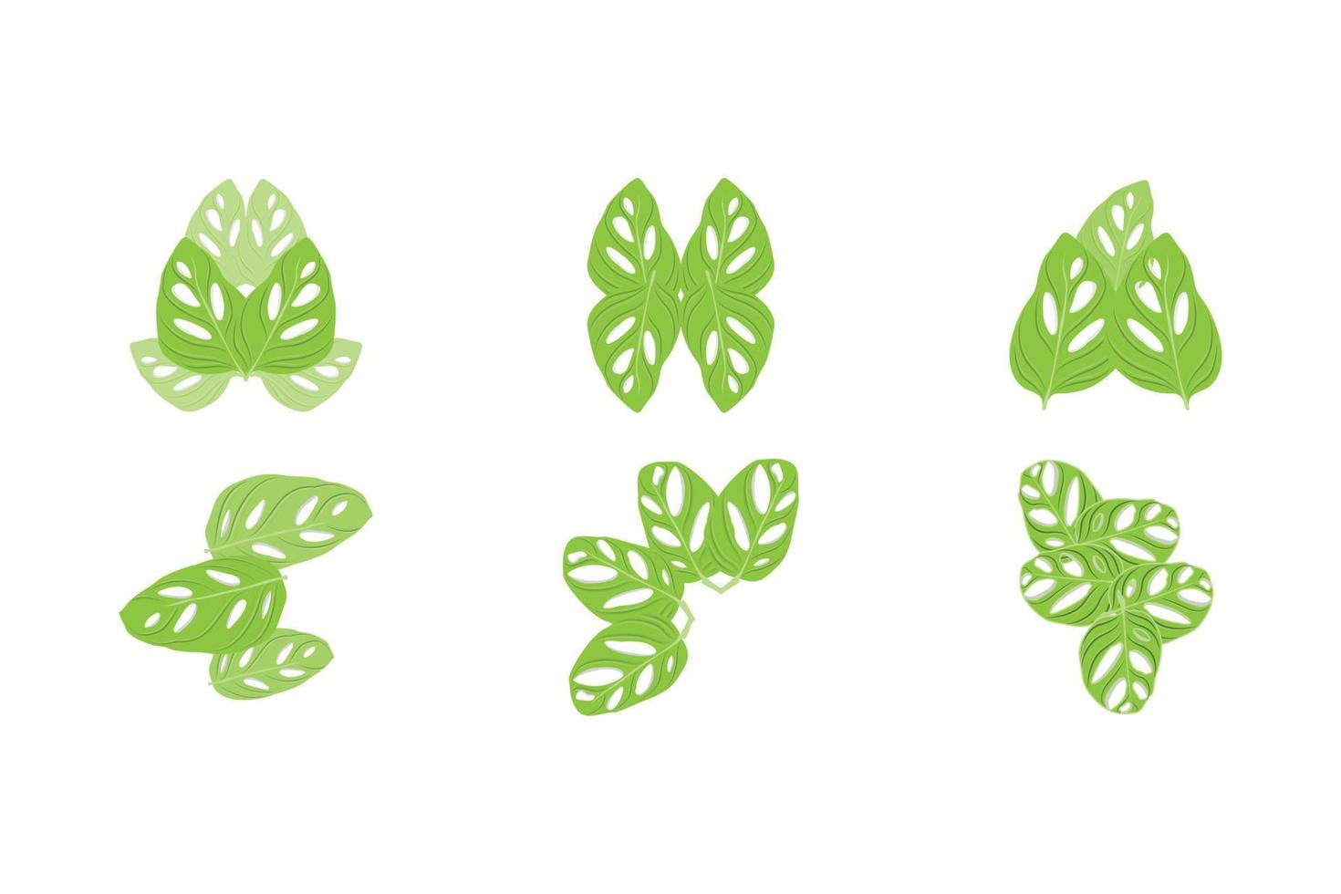 logotipo de hoja de monstera adansonii, vector de planta verde, vector de árbol, ilustración de hoja rara