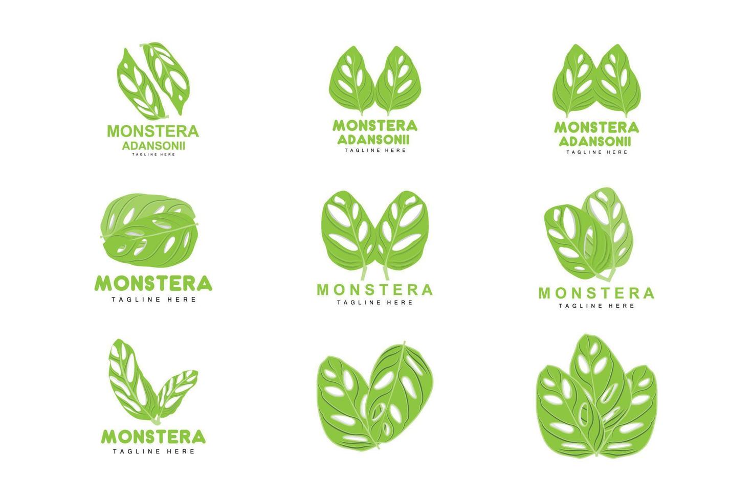 logotipo de hoja de monstera adansonii, vector de planta verde, vector de árbol, ilustración de hoja rara