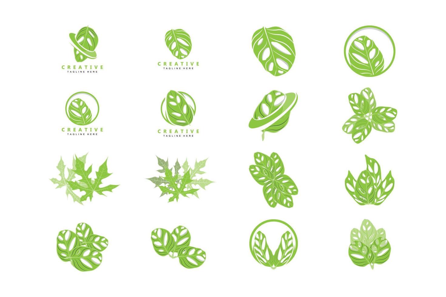 Monstera adansonii Leaf Logo, Green Plant Vector, Tree Vector, Rare Leaf Illustration vector