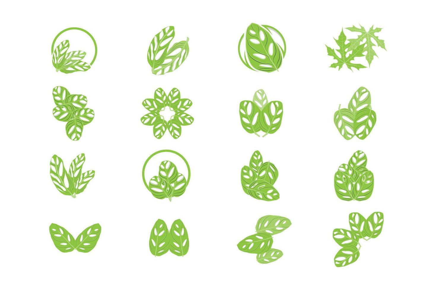 Monstera adansonii Leaf Logo, Green Plant Vector, Tree Vector, Rare Leaf Illustration vector