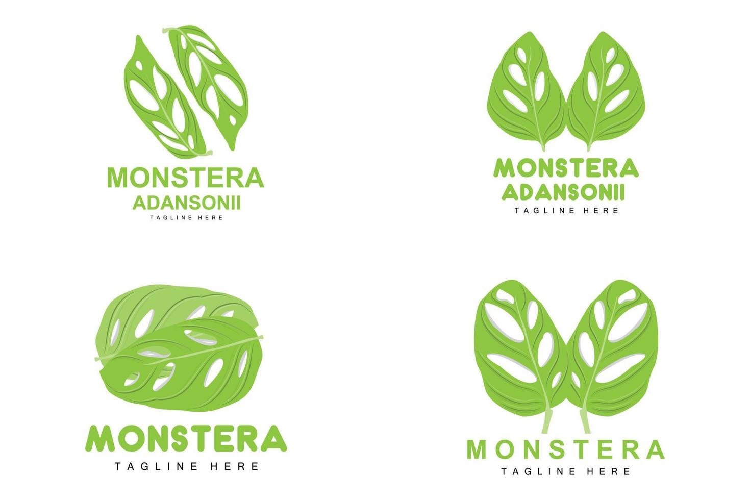 logotipo de hoja de monstera adansonii, vector de planta verde, vector de árbol, ilustración de hoja rara