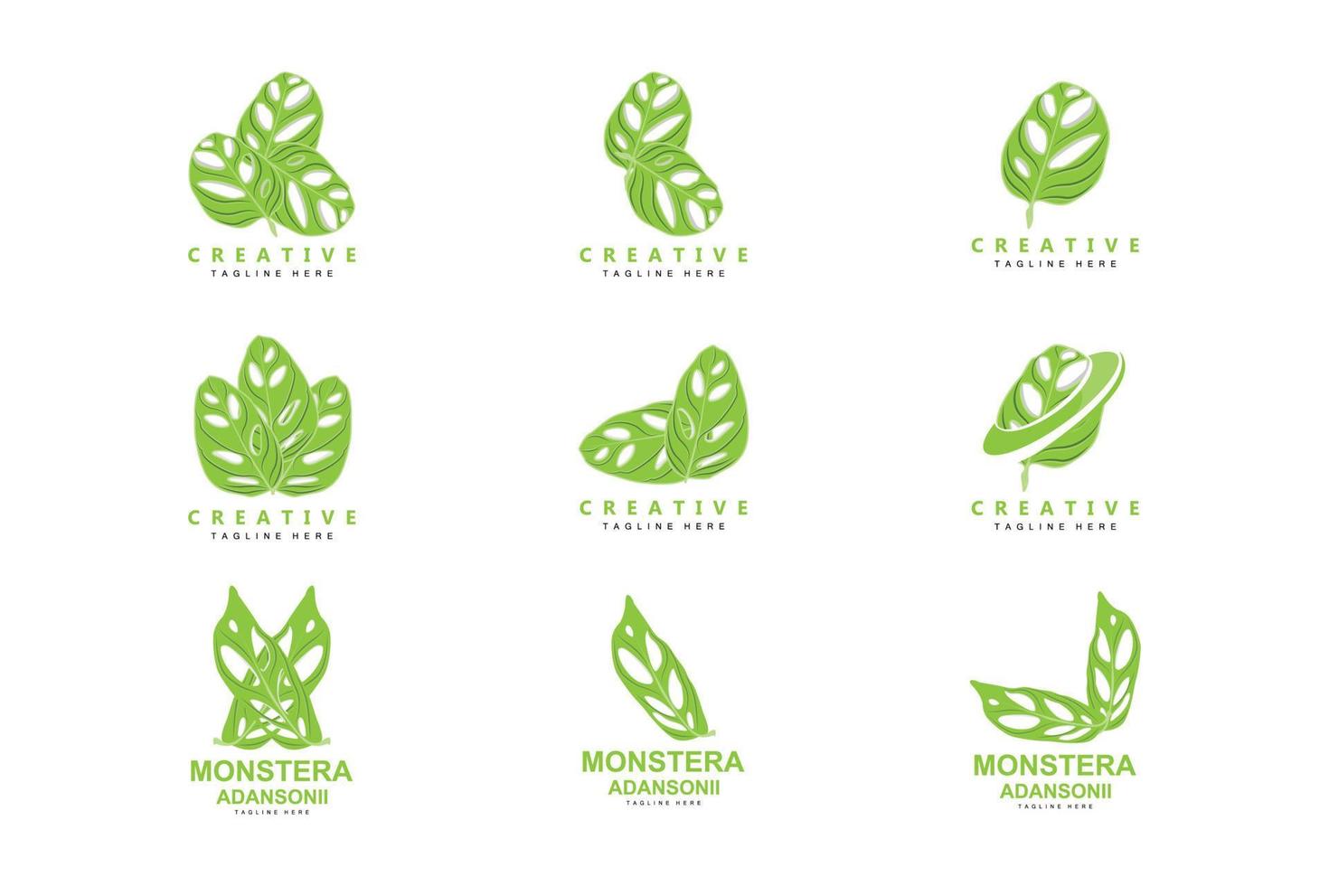 logotipo de hoja de monstera adansonii, vector de planta verde, vector de árbol, ilustración de hoja rara