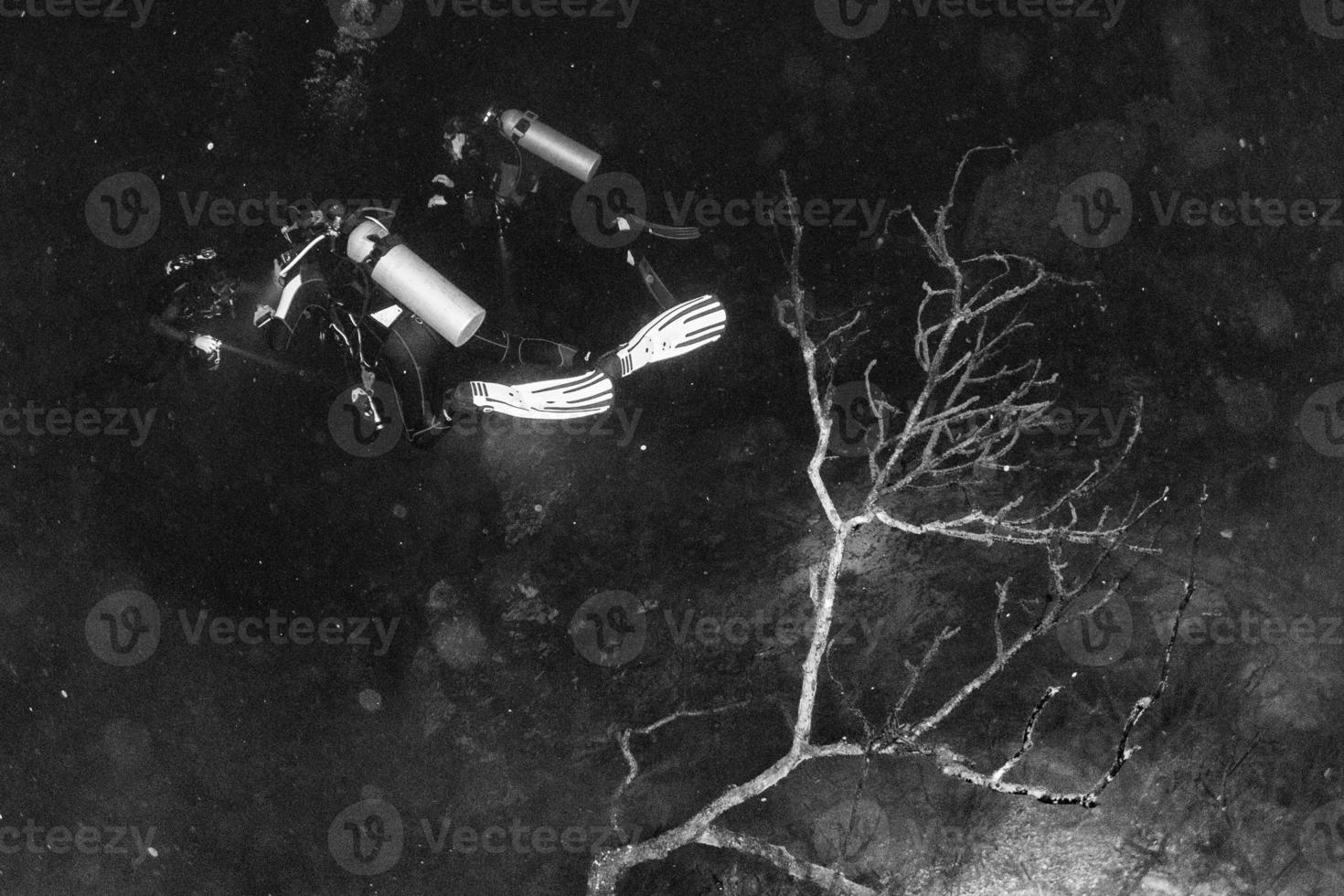 cenotes cave diving in the pit photo