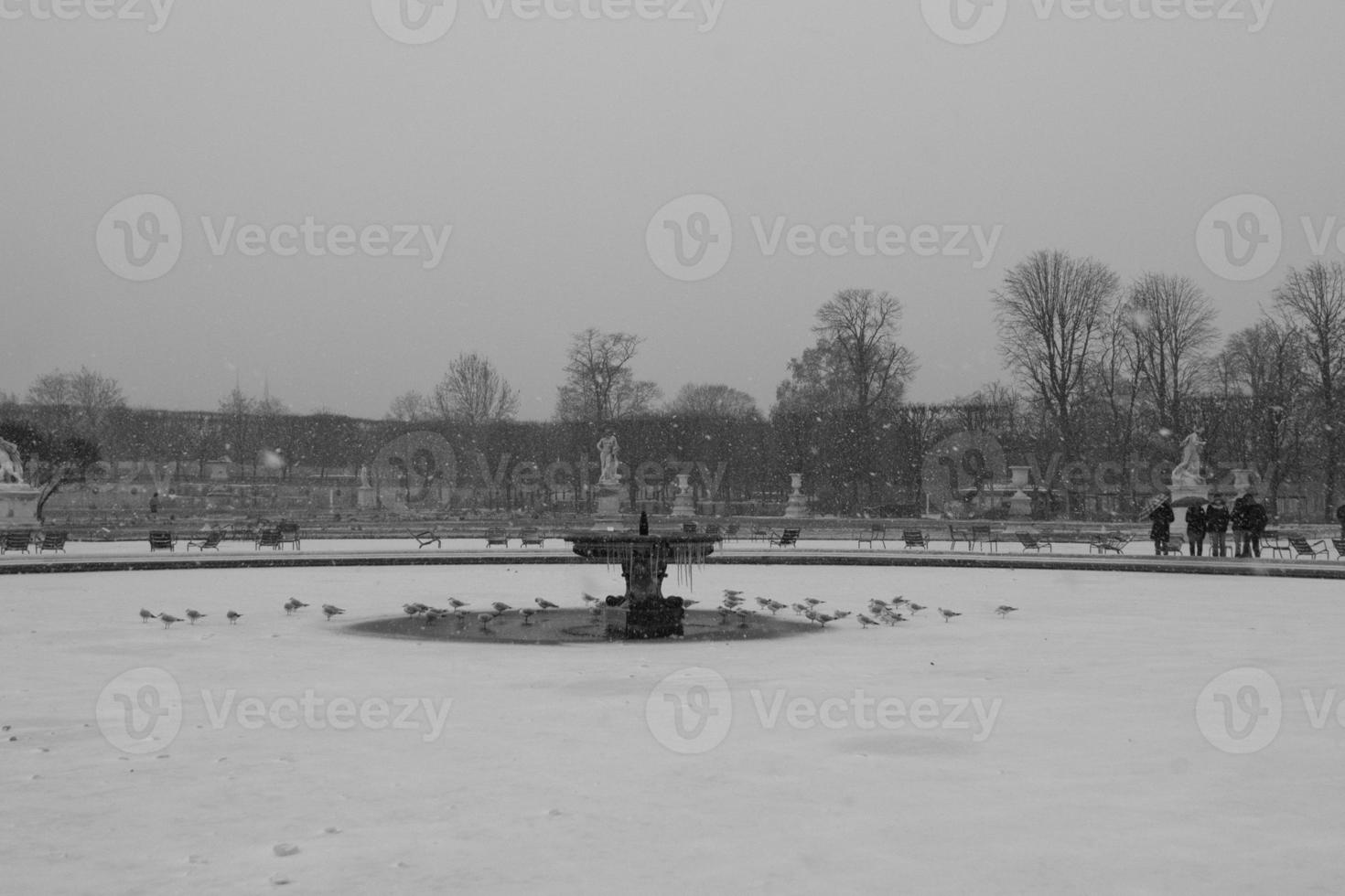 Paris While Snowing photo