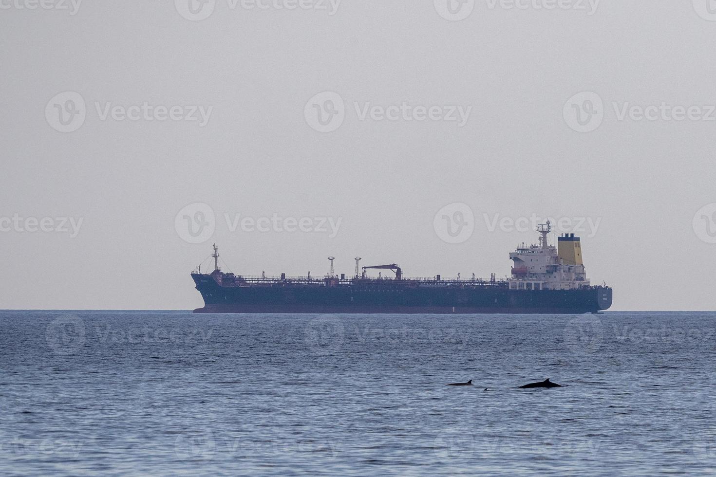 cuvier beaked whale near oil tanker ship photo
