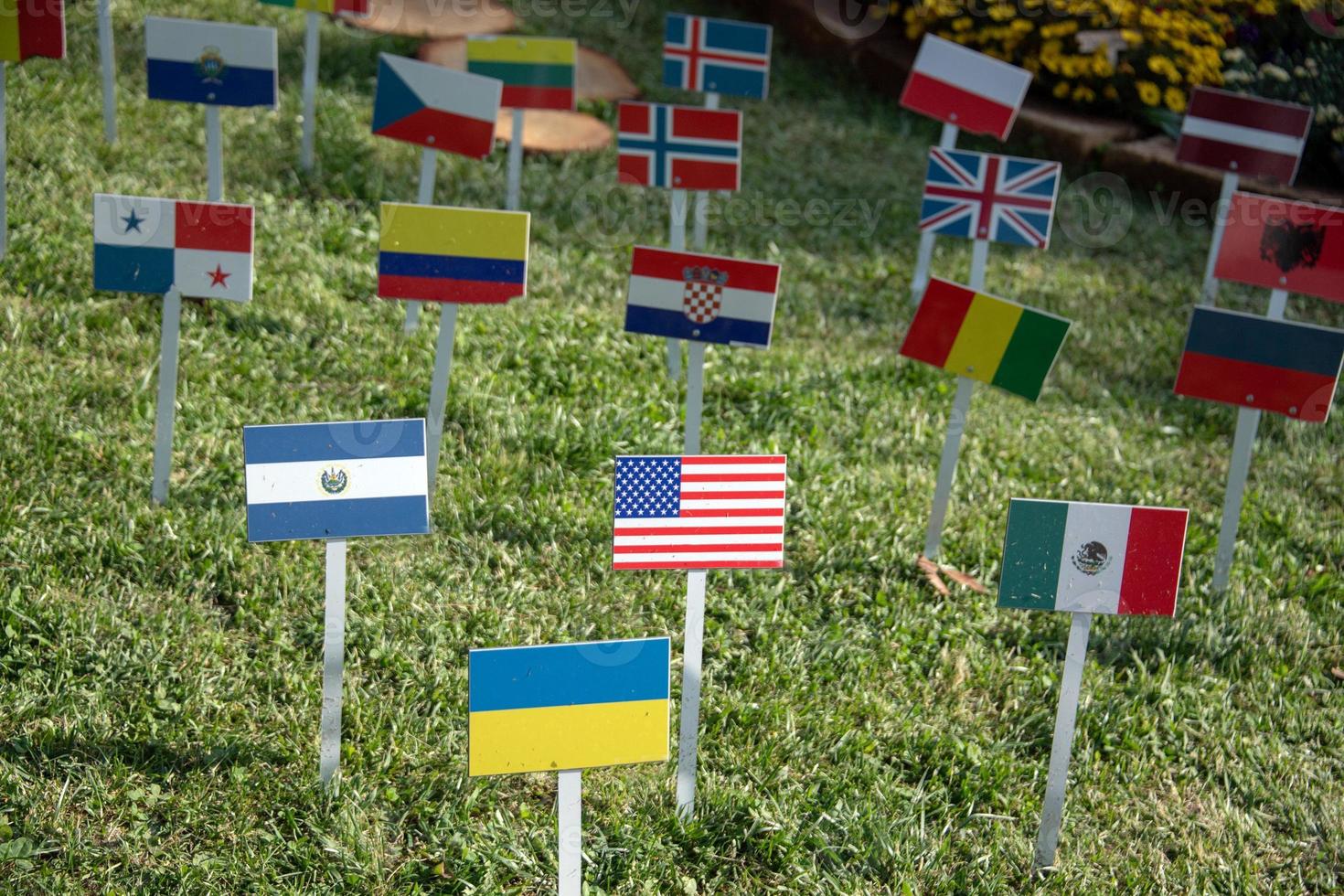 Estados Unidos y unido naciones muchos banderas en césped foto