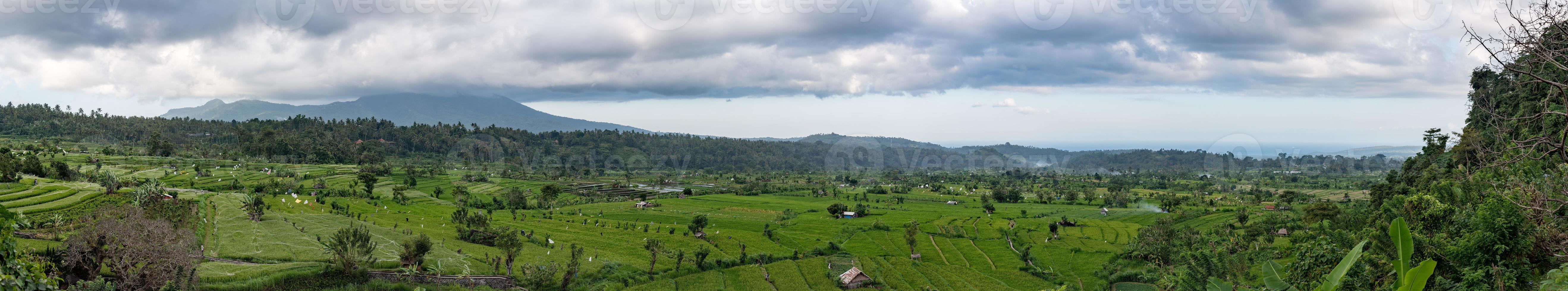 campo de arroz de bali vista de cartel de paisaje de panorama enorme foto