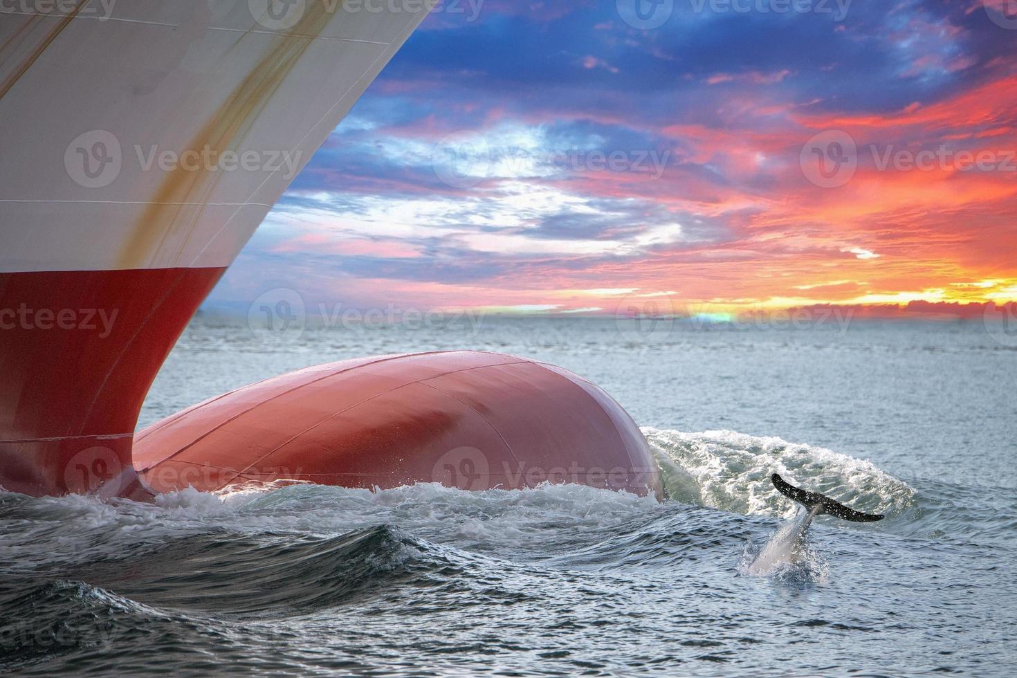 dolphin jumping over ship prow on red sky sunset photo