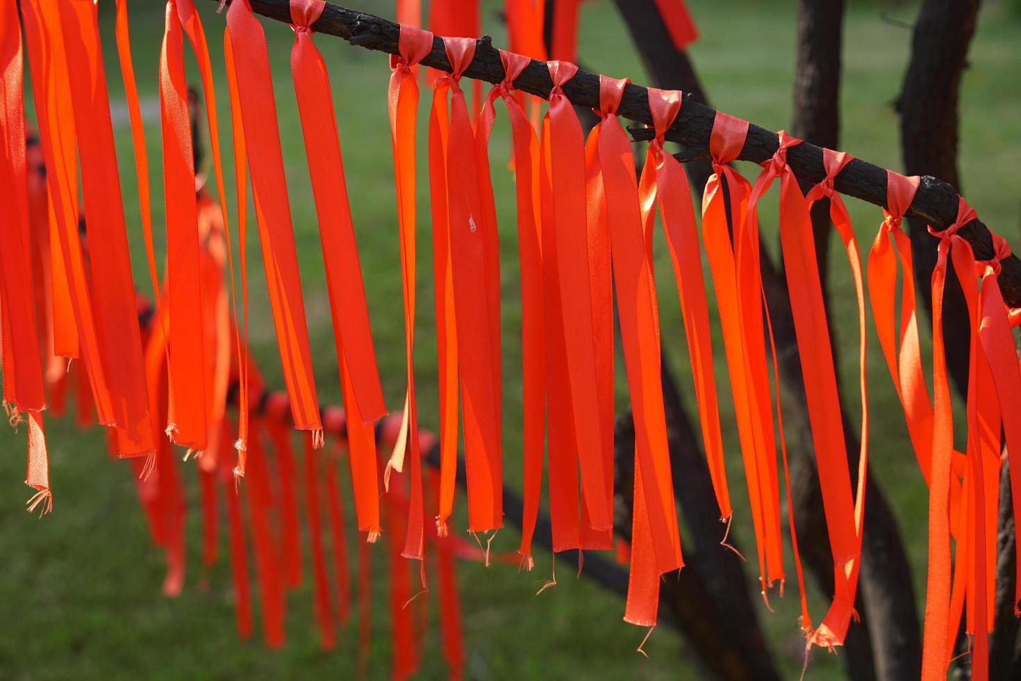 red cloth tied on a tree photo