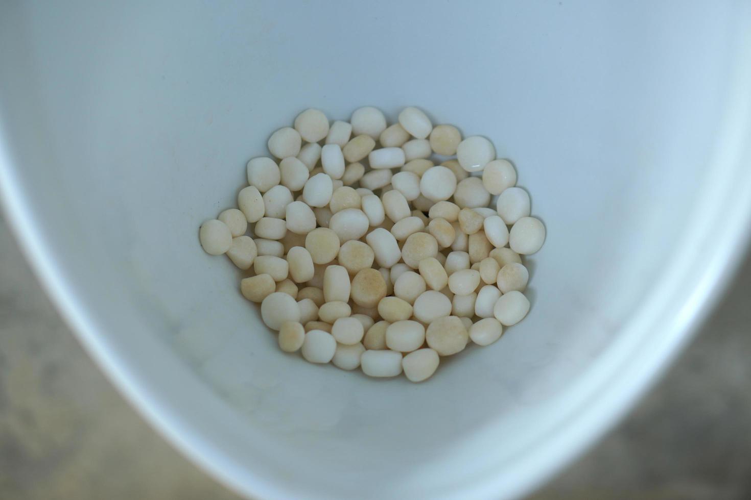 bolas de naftalina desodorizar en el urinario. foto