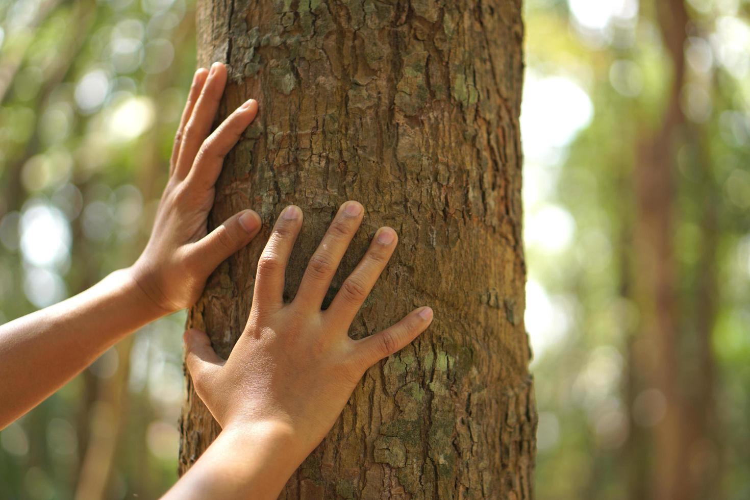 concept of saving the world Asian woman touching a tree photo