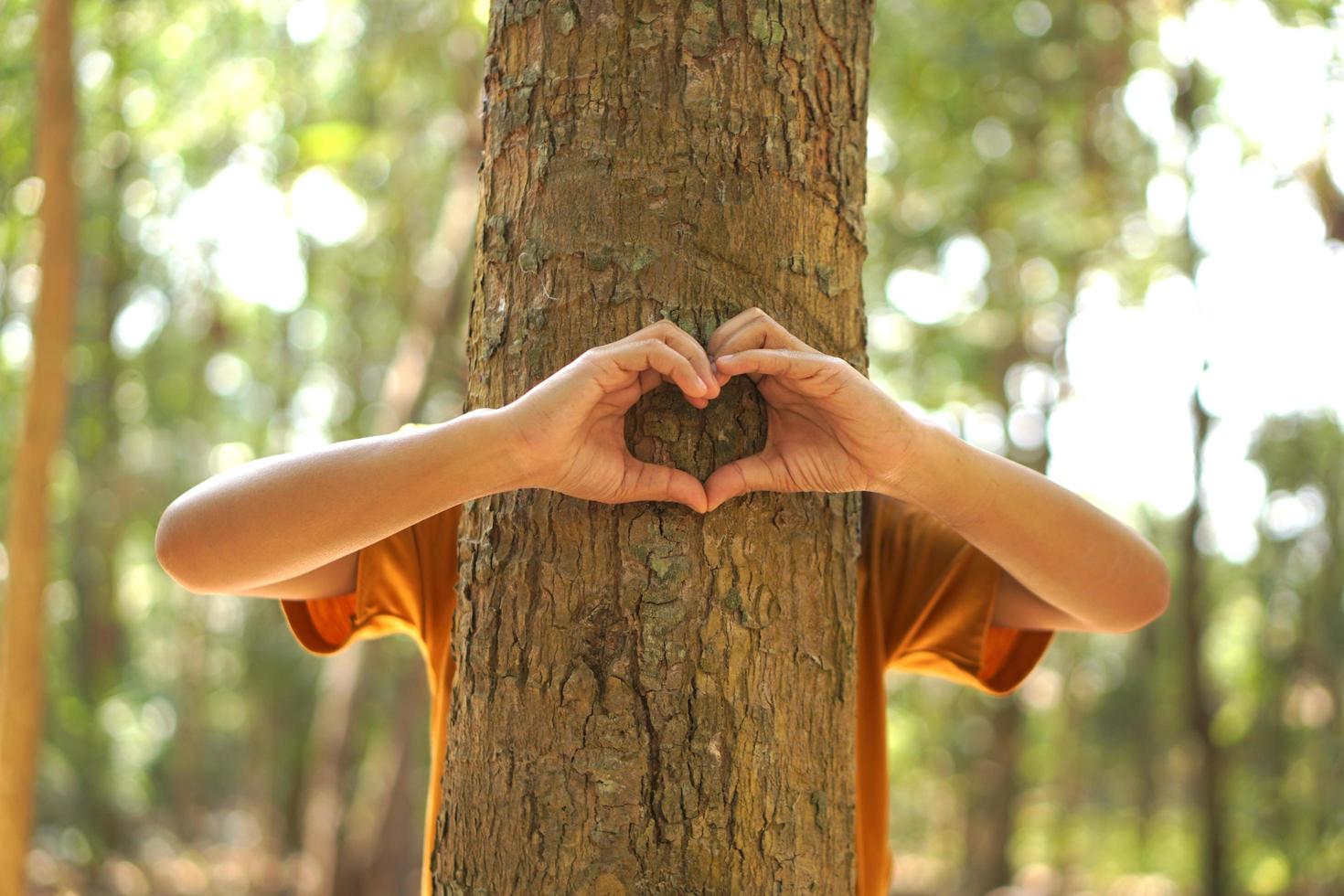 concepto de ahorro el mundo asiático mujer abrazando un árbol foto