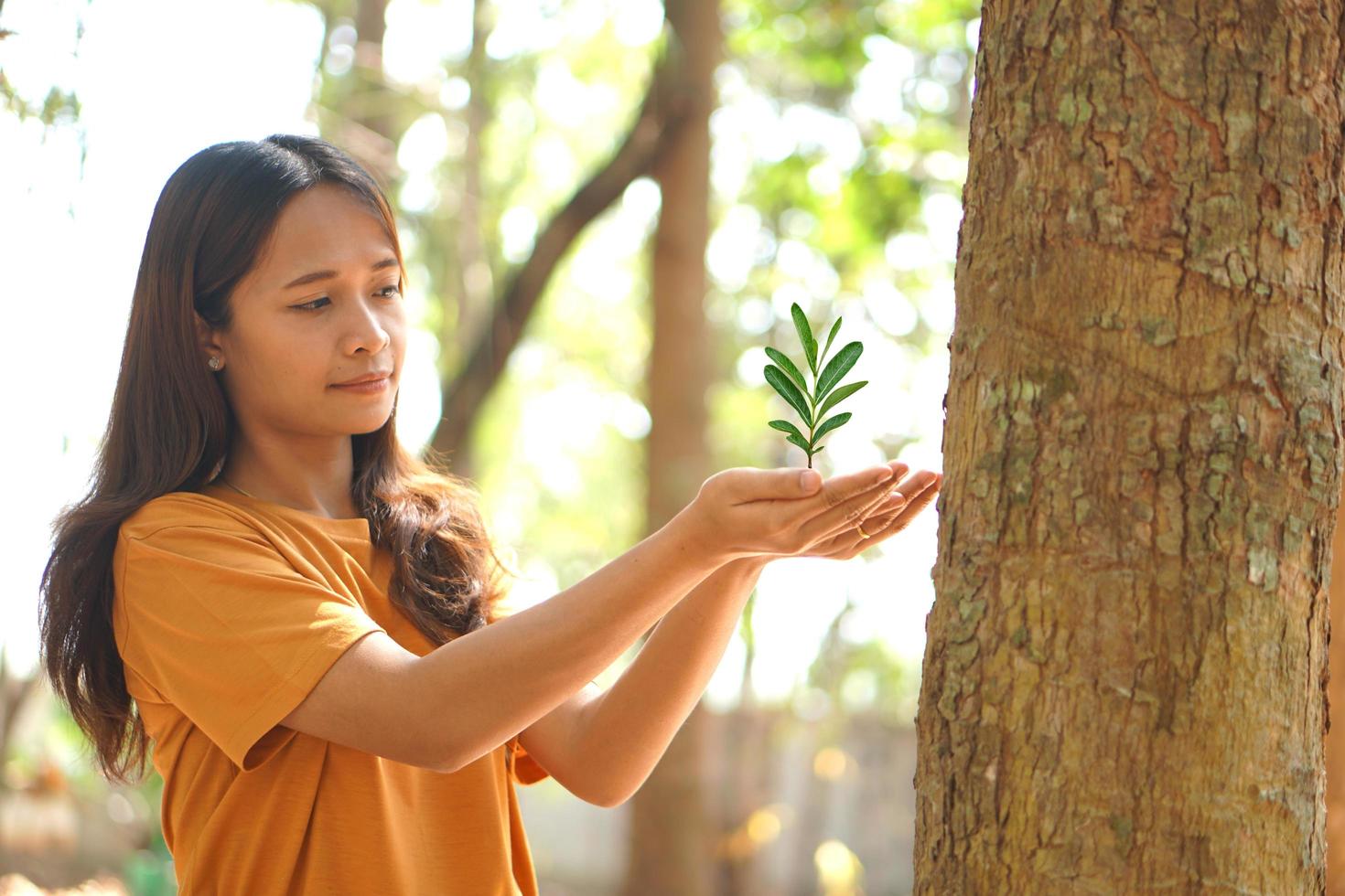 concept of saving the world Asian woman holding a small tree photo