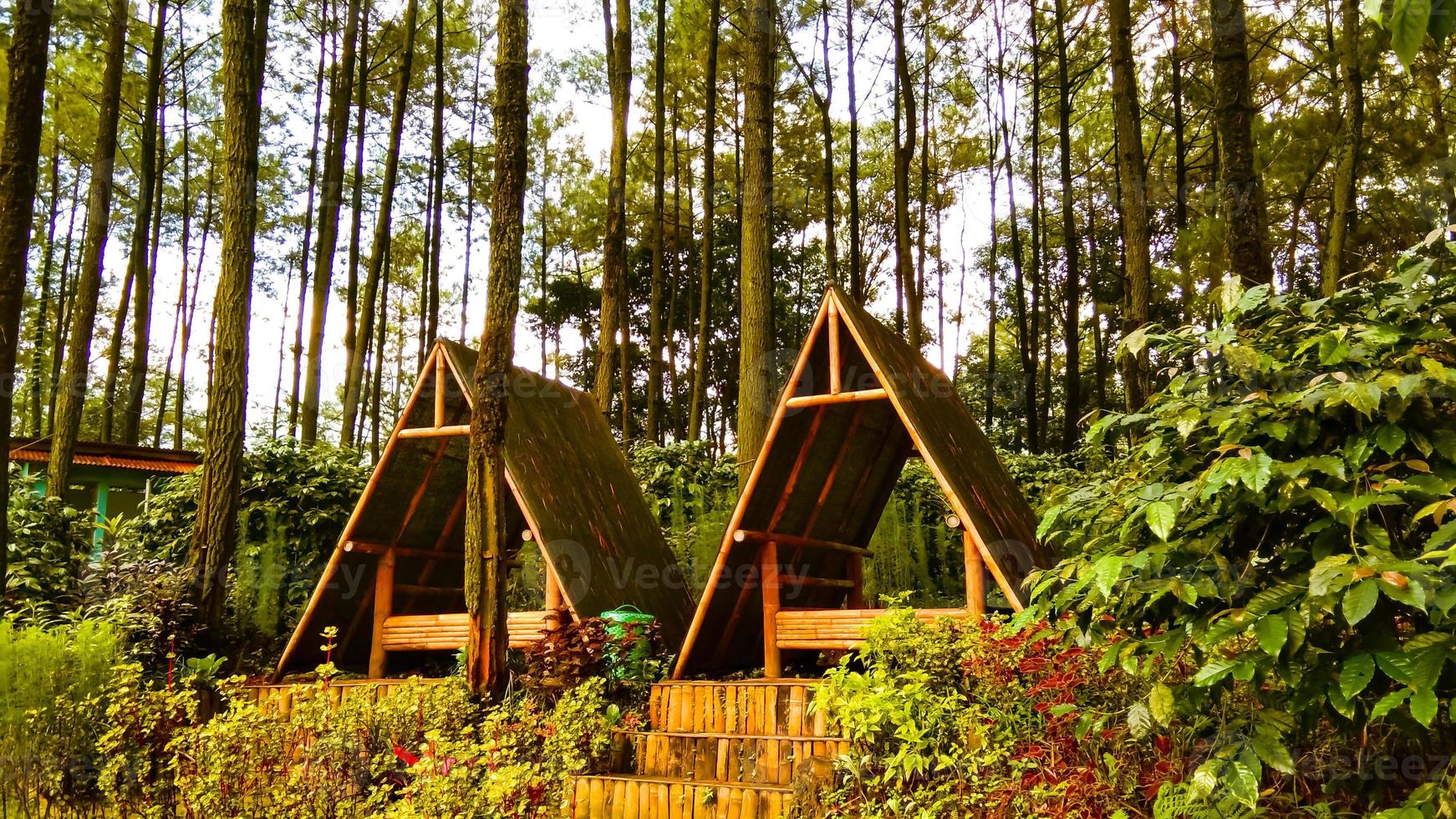 triangular shaped gazebo made of wood photo