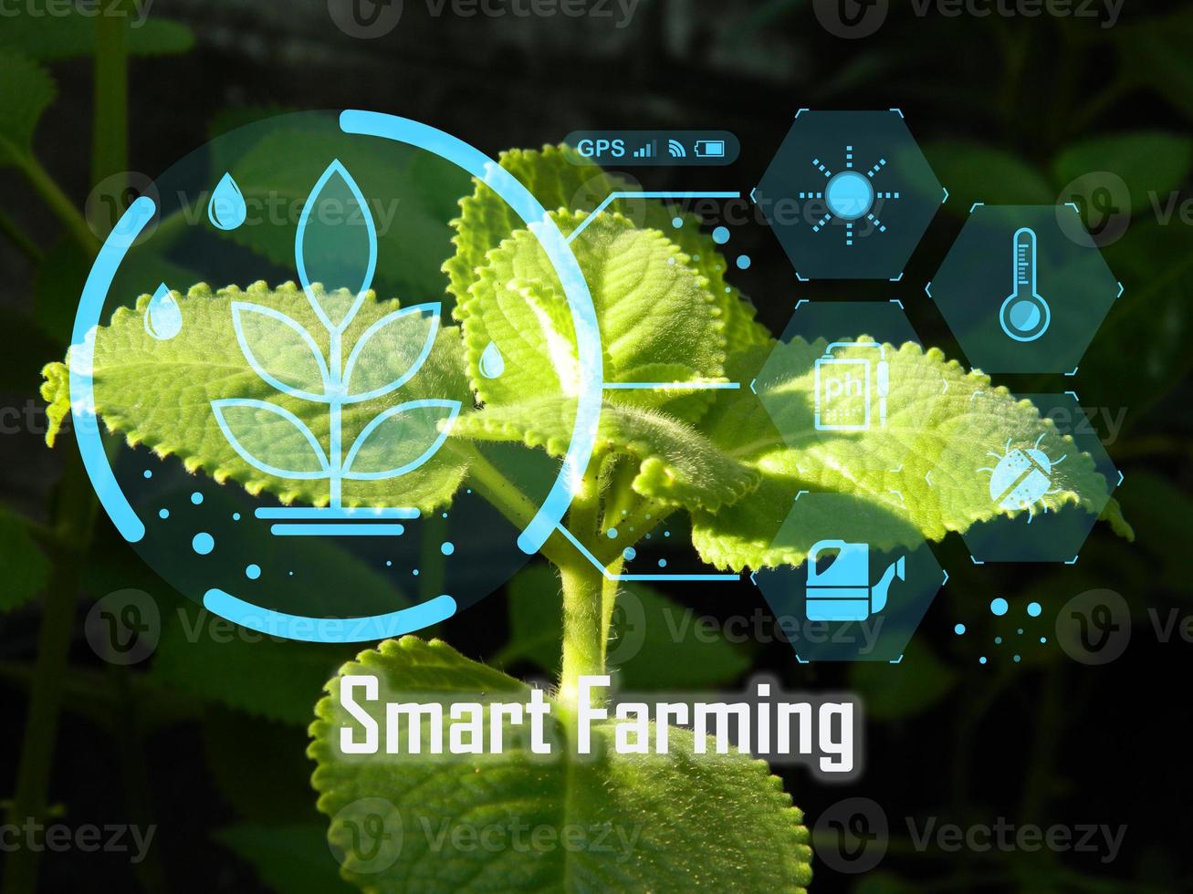 concepto inteligente agricultura tecnología administración foto
