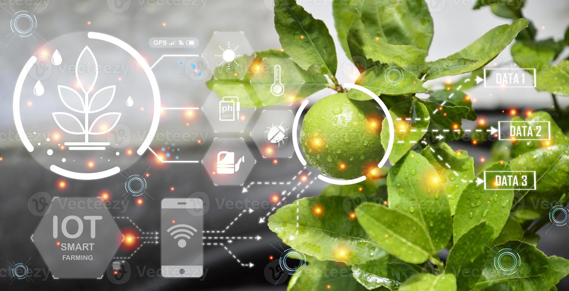 The concept of farming is a new way of using technology to help in the work called Smart Farming. photo