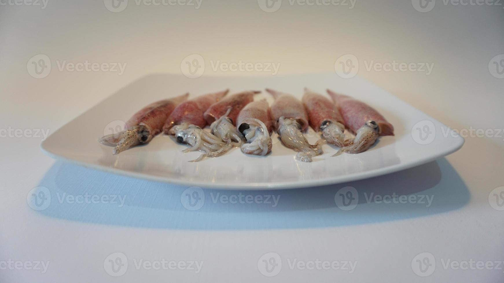 Squid Seafood on plate on white. photo