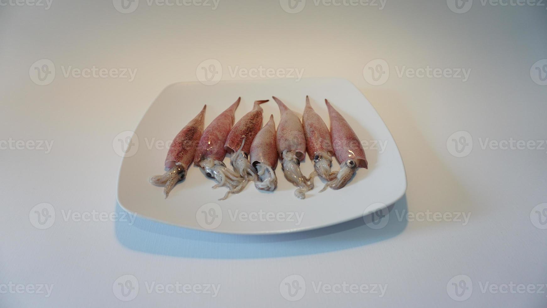 Squid Seafood on plate on white. photo