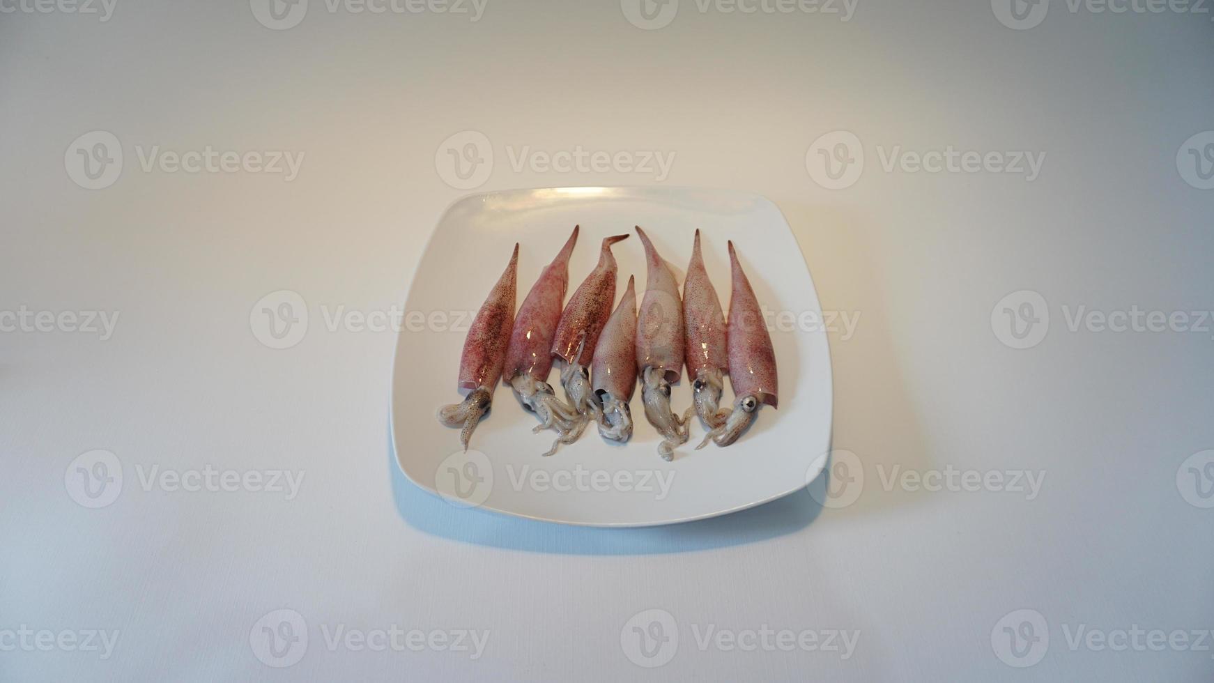 Squid Seafood on plate on white. photo