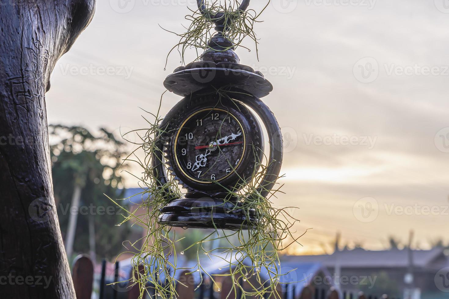 Close-up of an old broken clock made of wood with a green plant hung on a pole in the living garden at sunrise. New life and Freedom concept photo