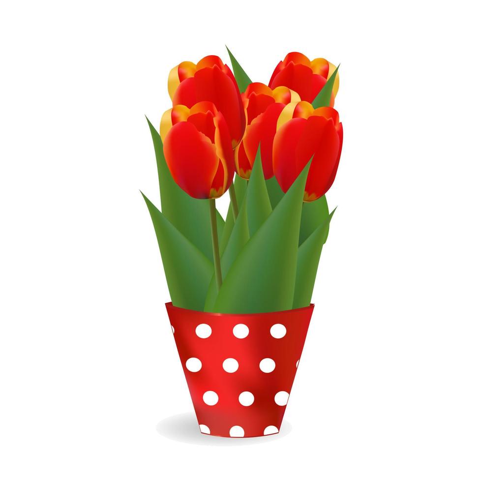 Beautiful bouquet of five tulips on a transparent background. Spring flowers with long green leaves. vector