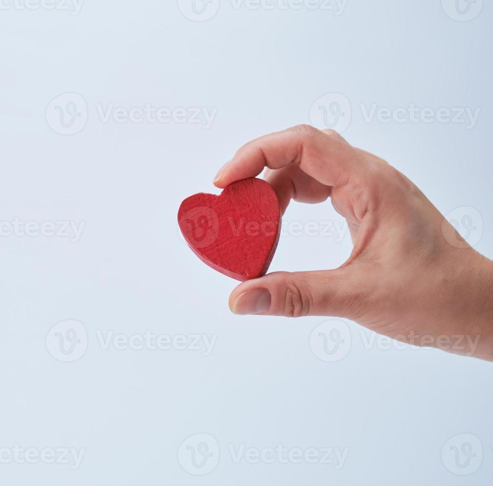 red heart in a human hand on a white background photo