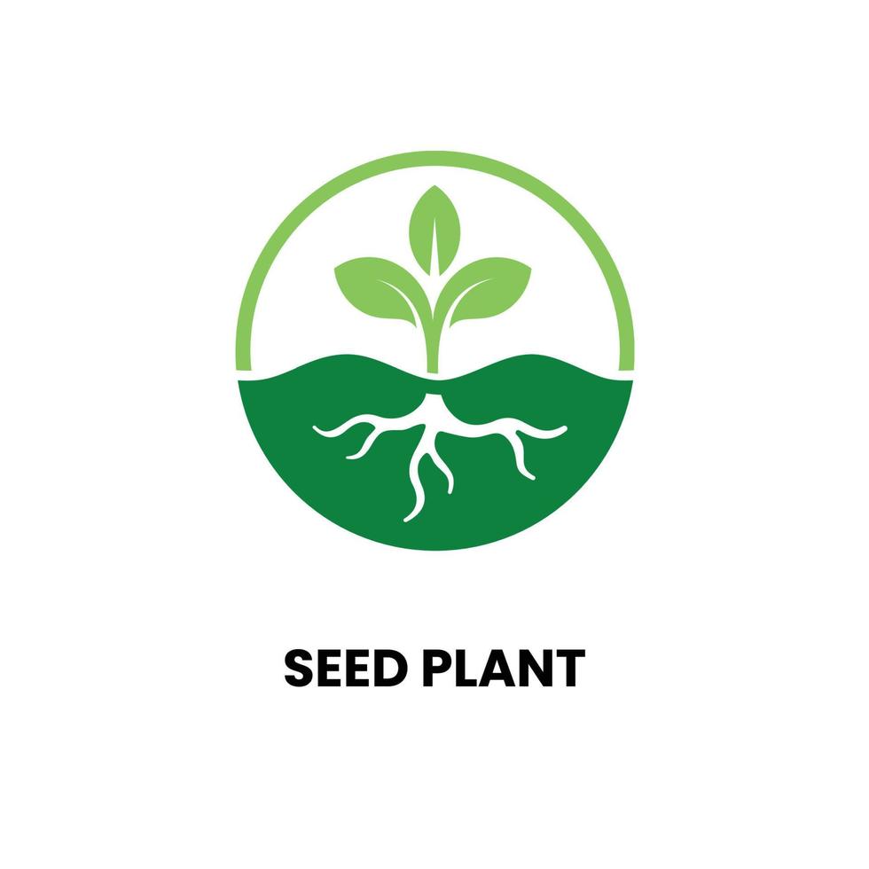 Vector plant seed logo design vector illustration