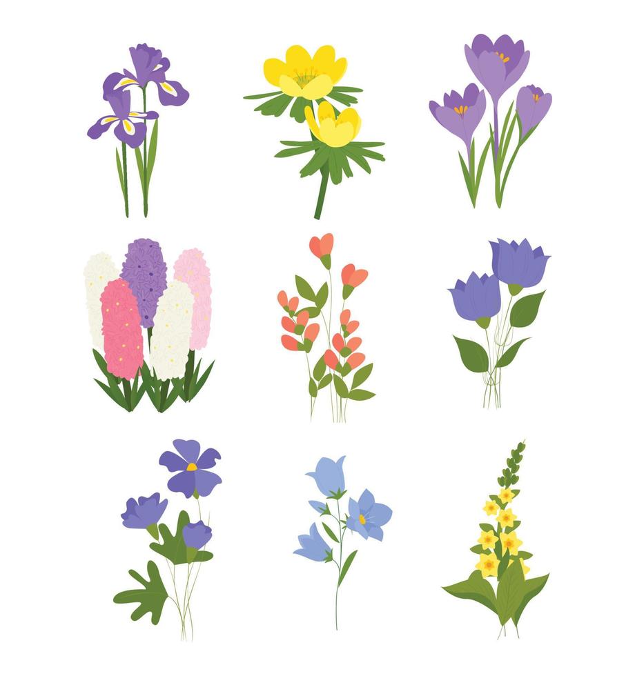 Hand Drawn Beauftiful Flower Vetor Collection vector