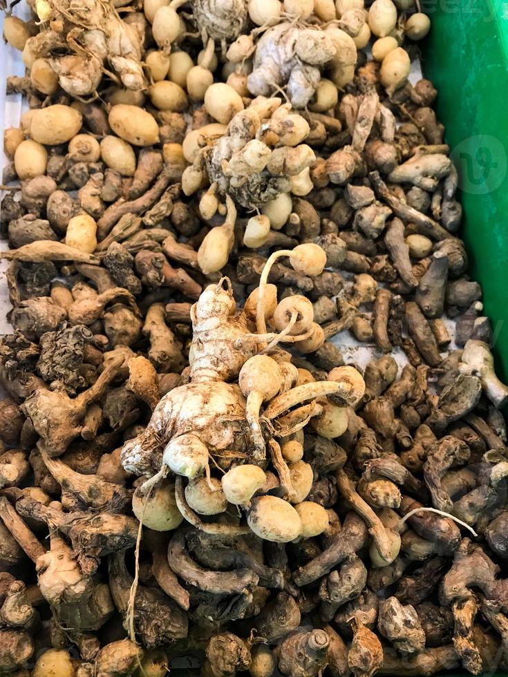 Turmeric Curcuma longa Linn rhizome or kunyit or kunir for Background photo