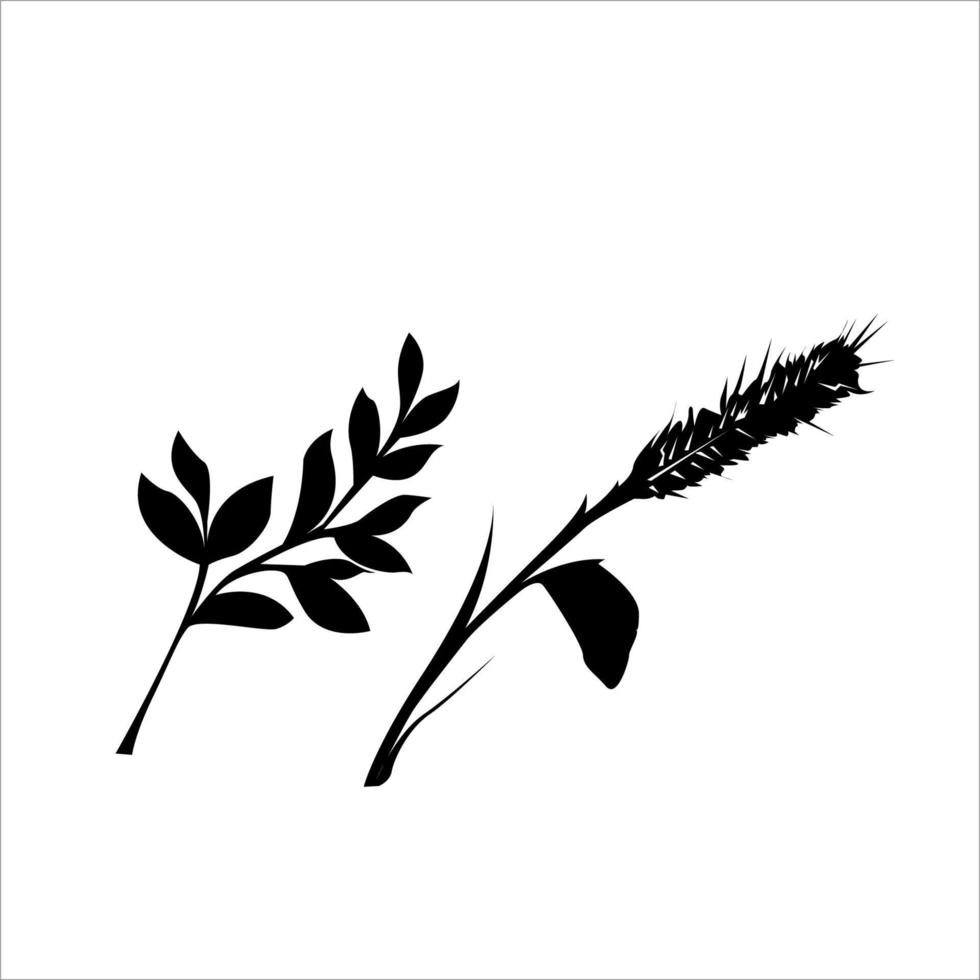 diseño de sucursales, hojas y malas hierbas en un monocromo línea Arte estilo vector