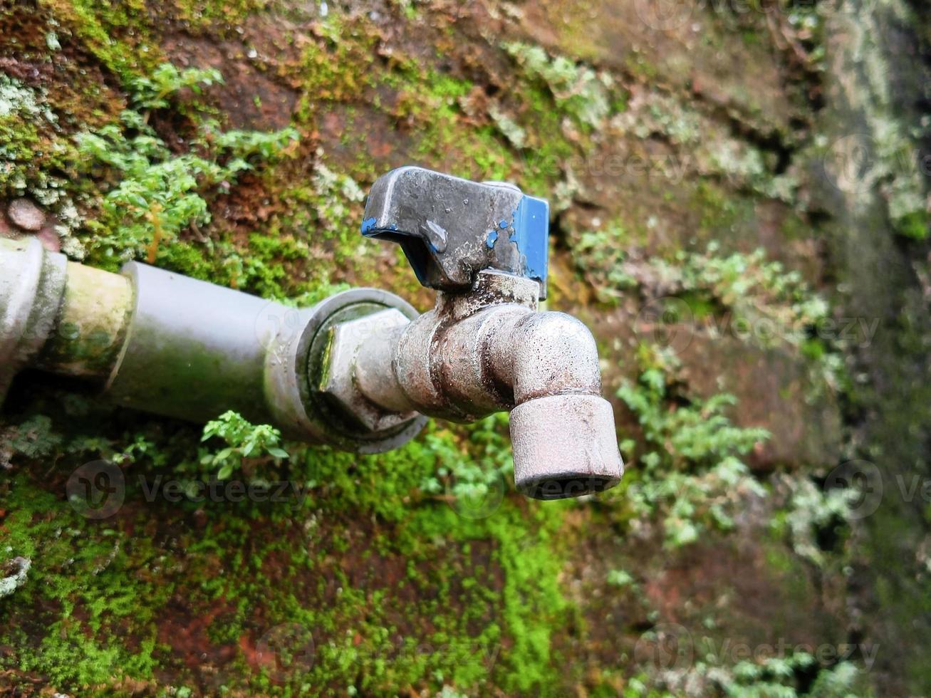 The classic water faucet on the mossy wall photo