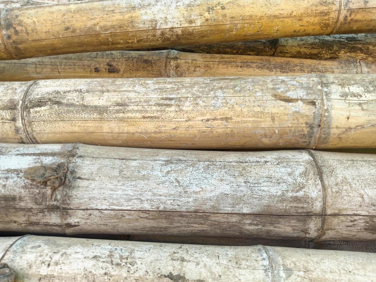 Dry bamboo sticks are brown photo