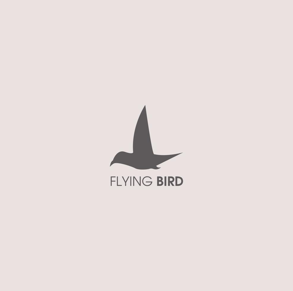 pájaro logo diseño vector