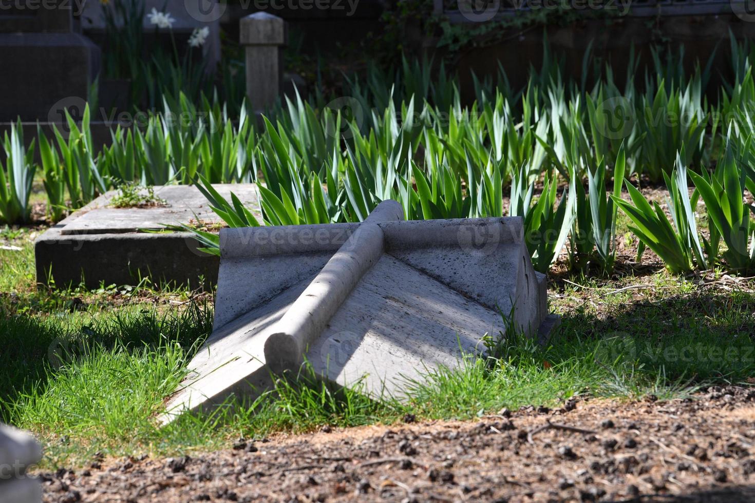 English Cemetery in Florence wonderful statues photo