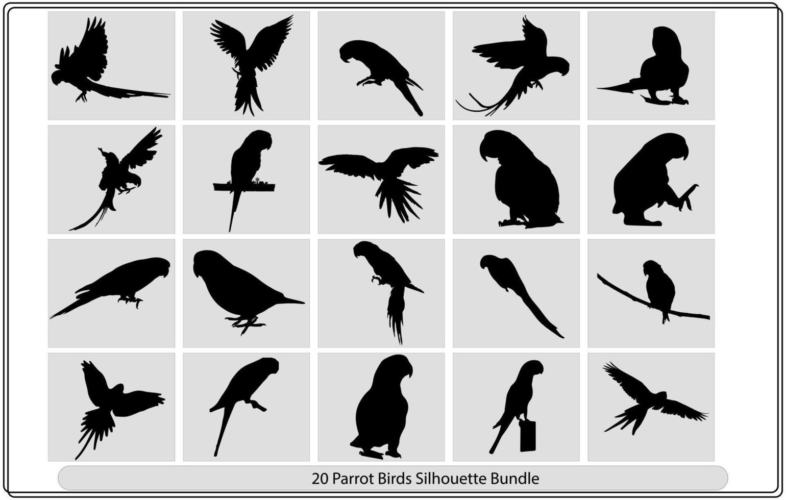 Vector Parrot silhouettes of amazon jungle , blck silhouette on white background