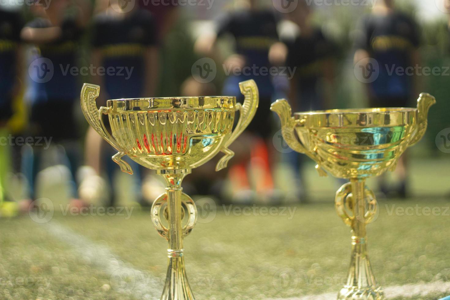 Gold cup. Award for team. Sports Cup. photo